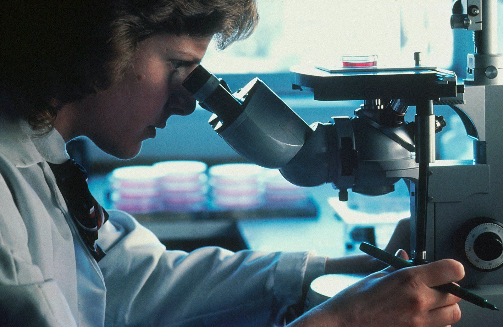 Scientist looking through a microscope in a laboratory